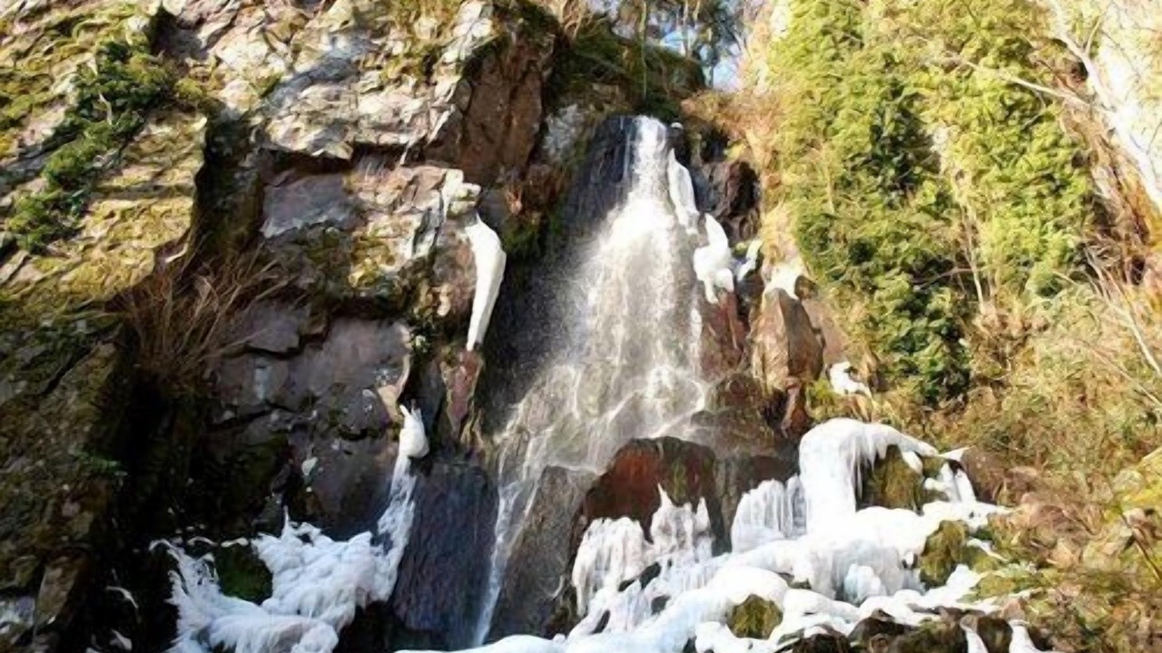 Photo of Others in Oberhaslach