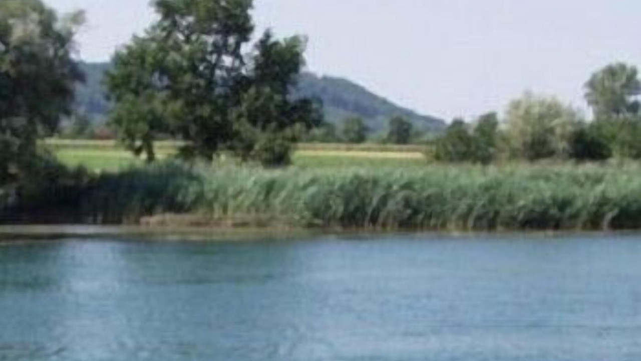 Photo of Others in Grenchen