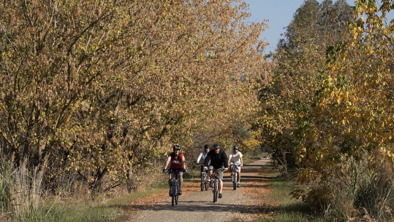 Photo of Outdoor in Milawa