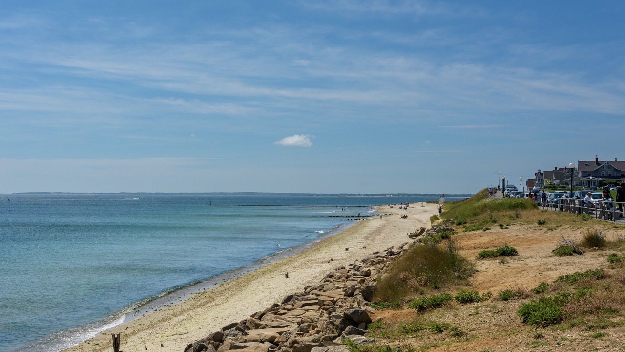 Photo of Others in Oak Bluffs