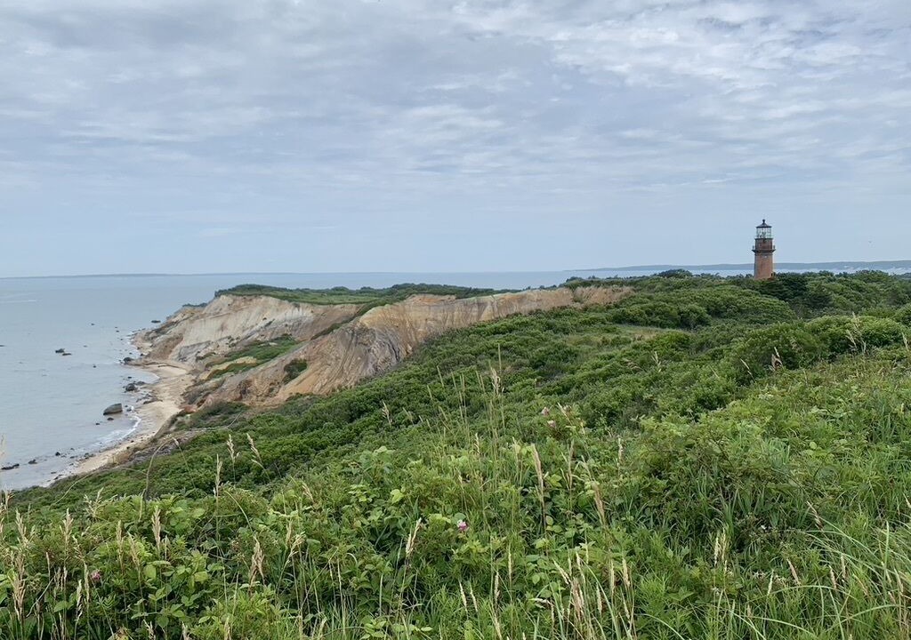 Photo of Others in Oak Bluffs