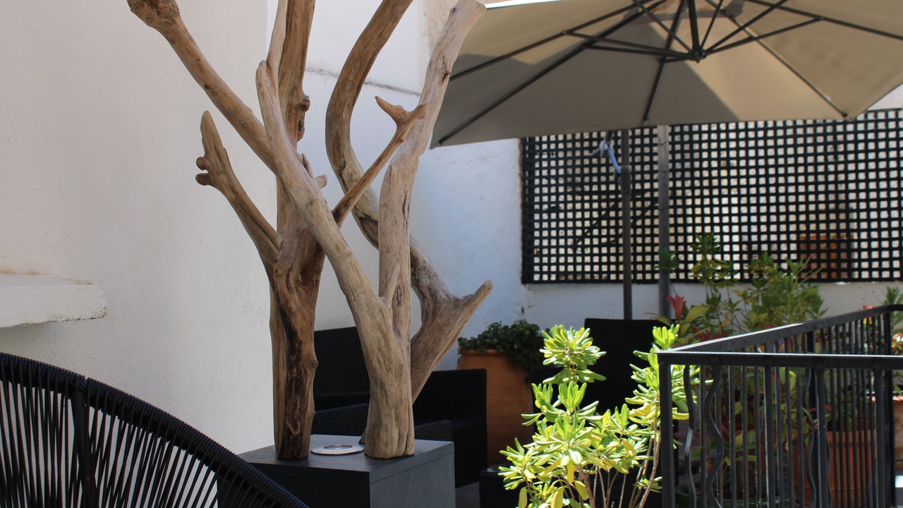 Photo of Patio Balcony in Avignon City Centre
