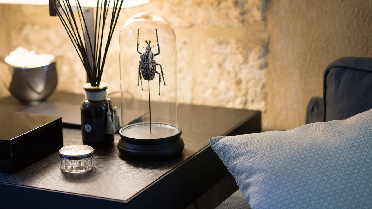 Photo of Others in Avignon City Centre