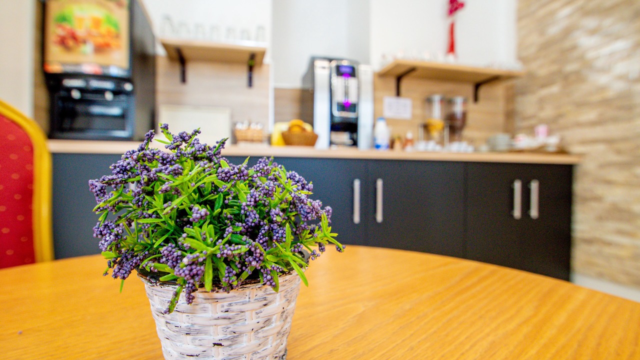 Photo of Others in Vernier