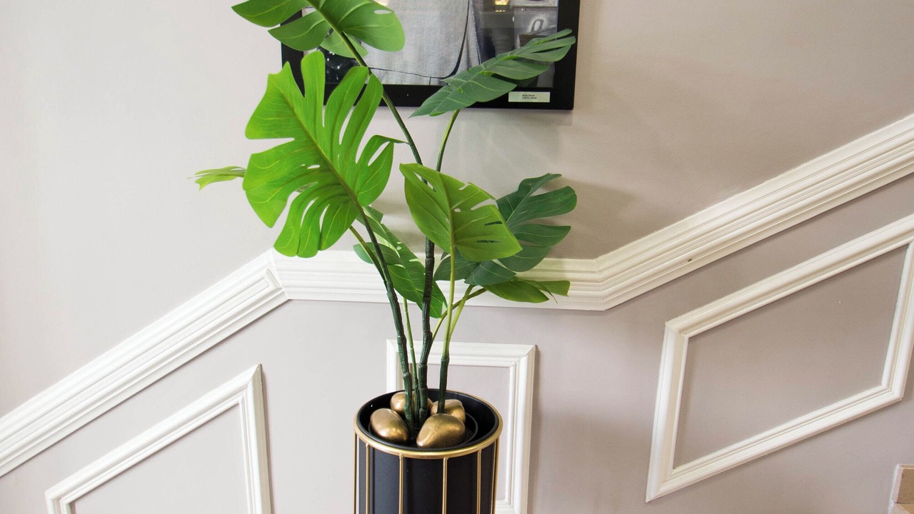 Photo of Others in Vernier