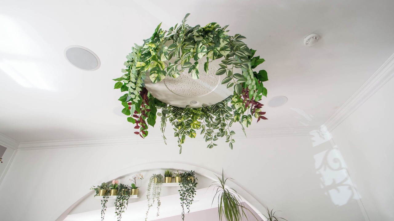 Photo of Others in Vernier