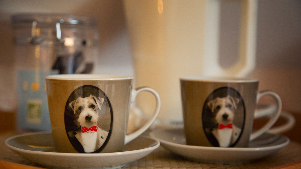 Photo of Others in Le Puy-Notre-Dame