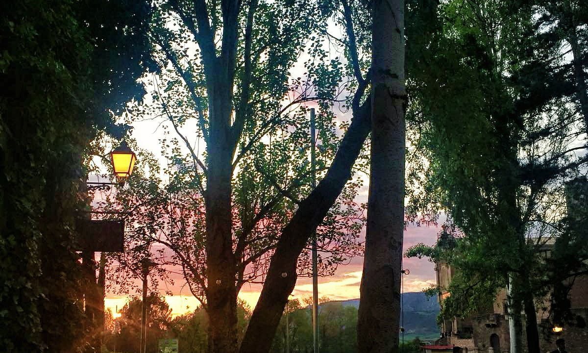 Photo of Outdoor in Javier