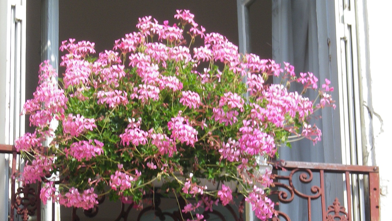 Photo of Outdoor in Centre