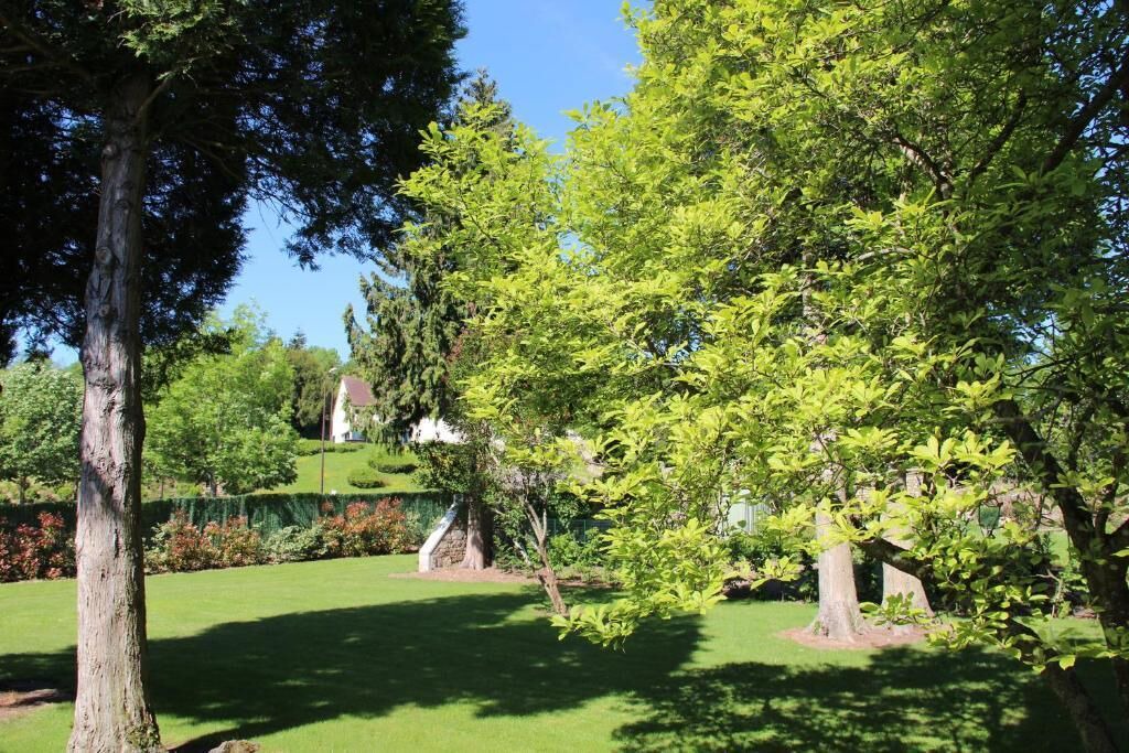 Photo of Outdoor in Couches