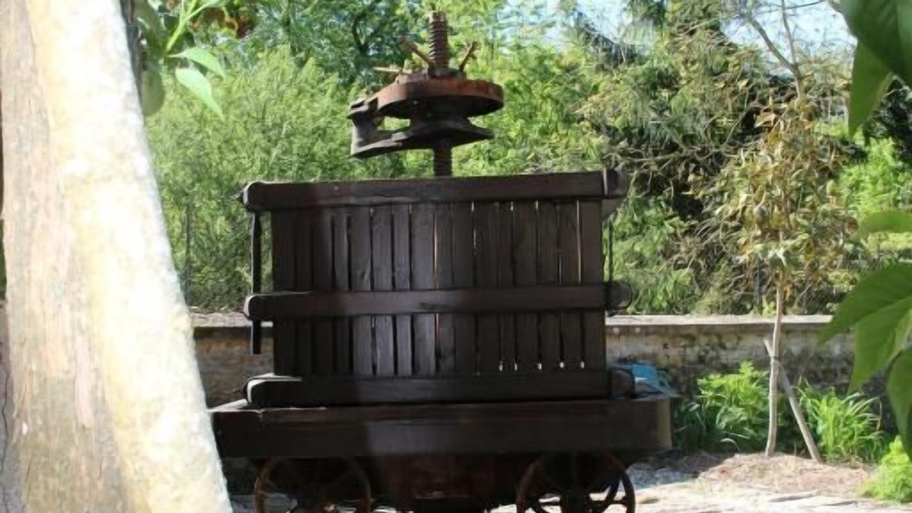 Photo of Outdoor in Couches