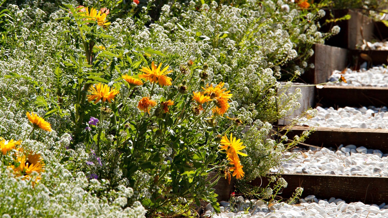 Photo of Outdoor in Plage d'Argeles