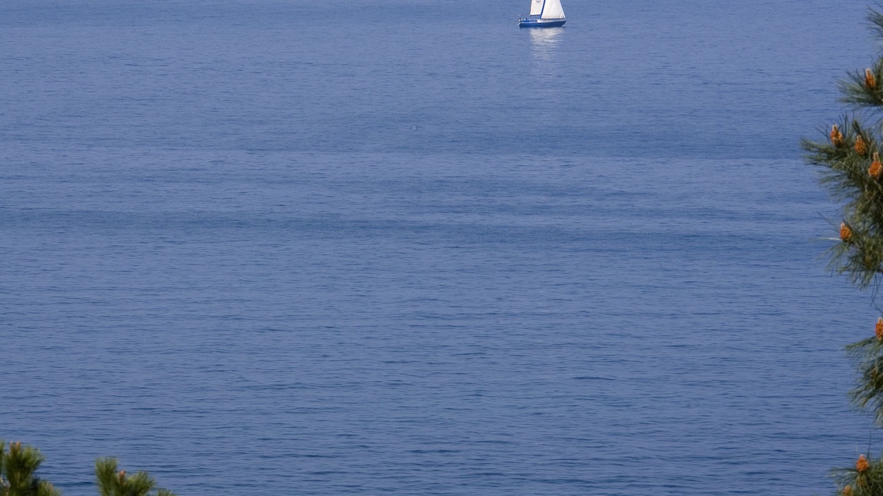 Photo of Others in Plage d'Argeles