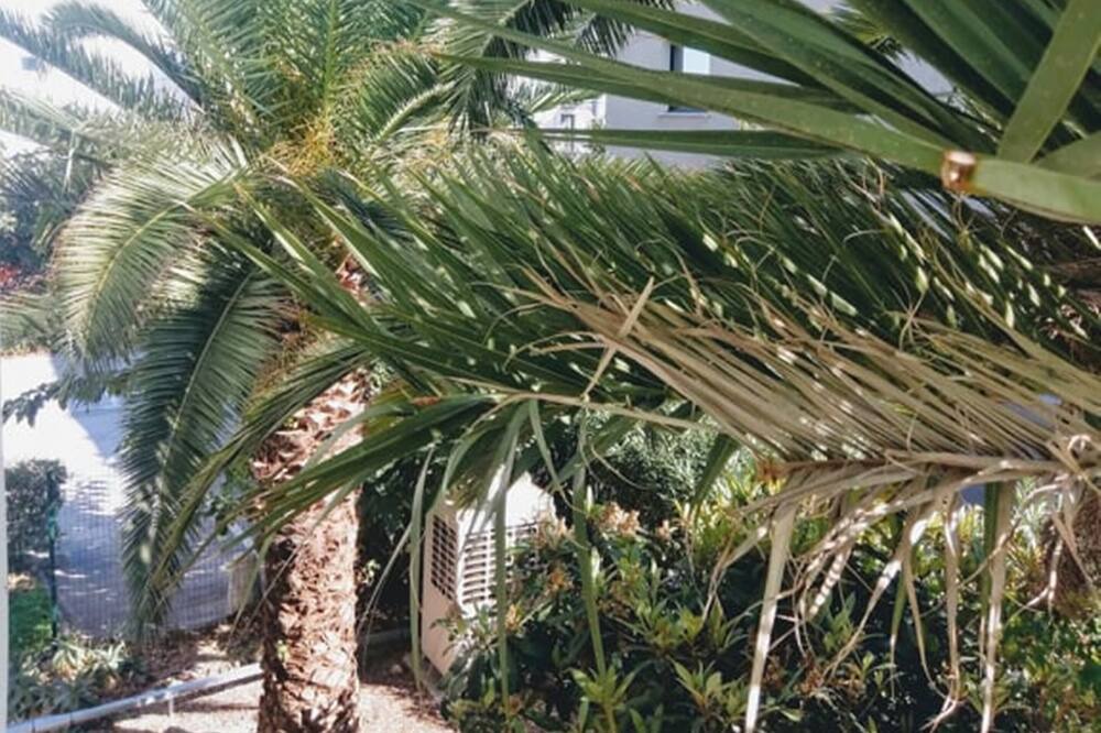Photo of Outdoor in Perpignan
