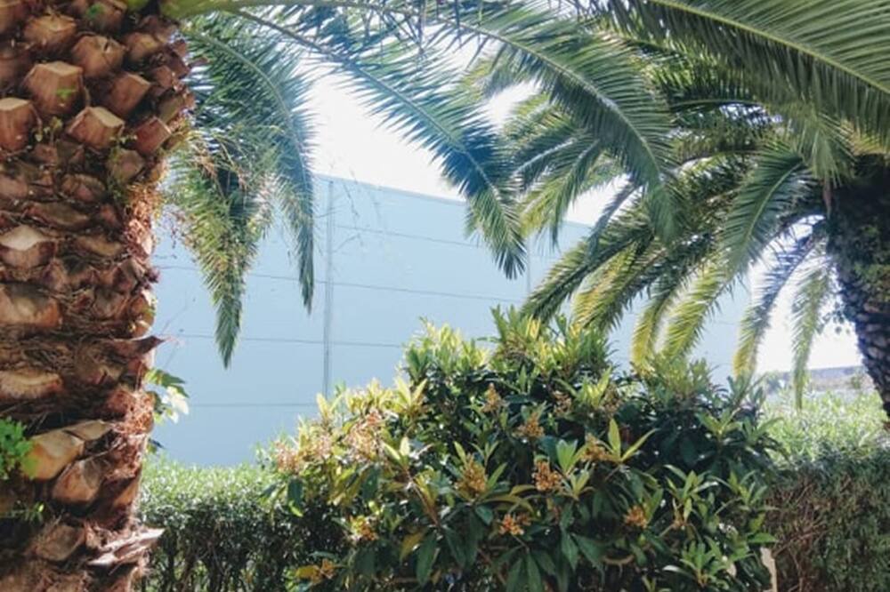 Photo of Outdoor in Perpignan