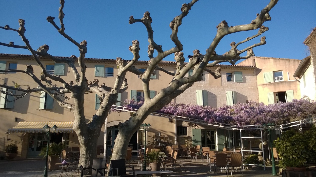 Photo of Outdoor in Avignon