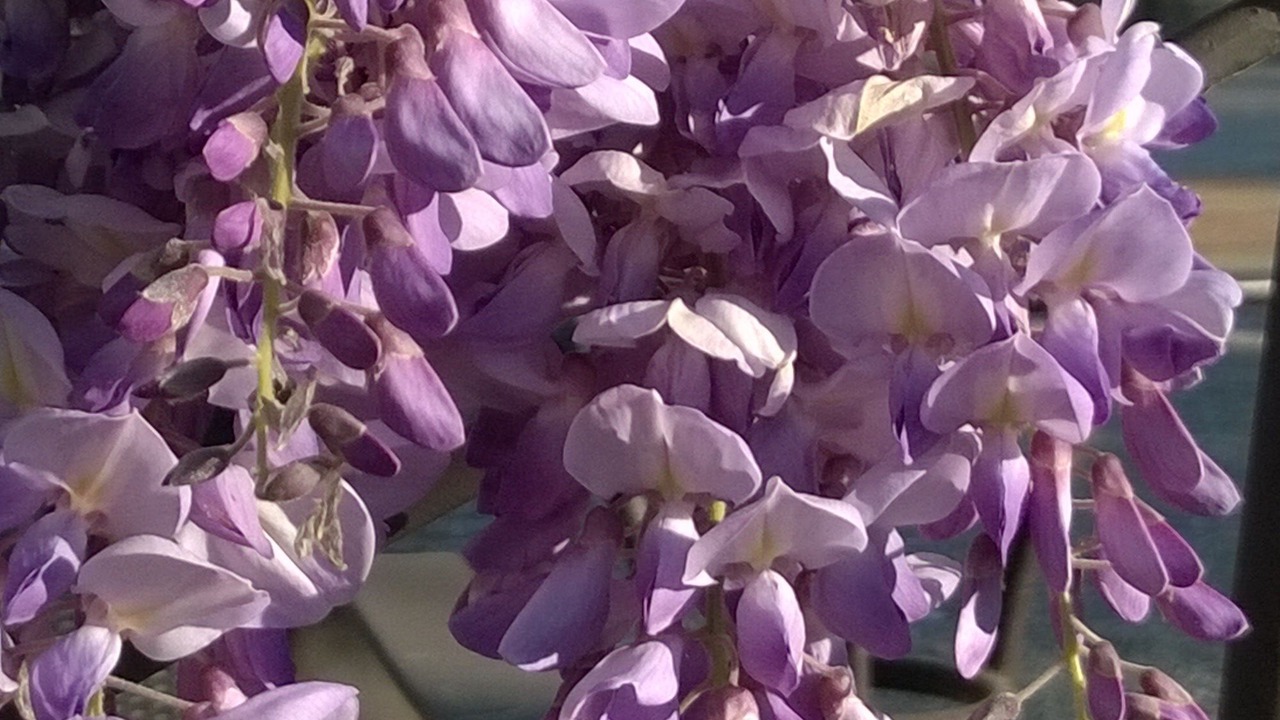 Photo of Outdoor in Avignon