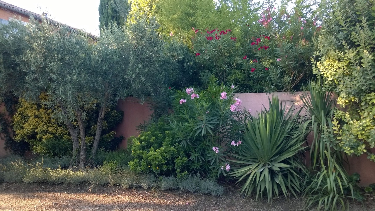 Photo of Outdoor in Avignon