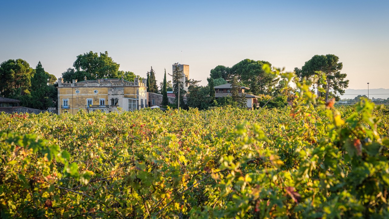Photo of Outdoor in Tarragona