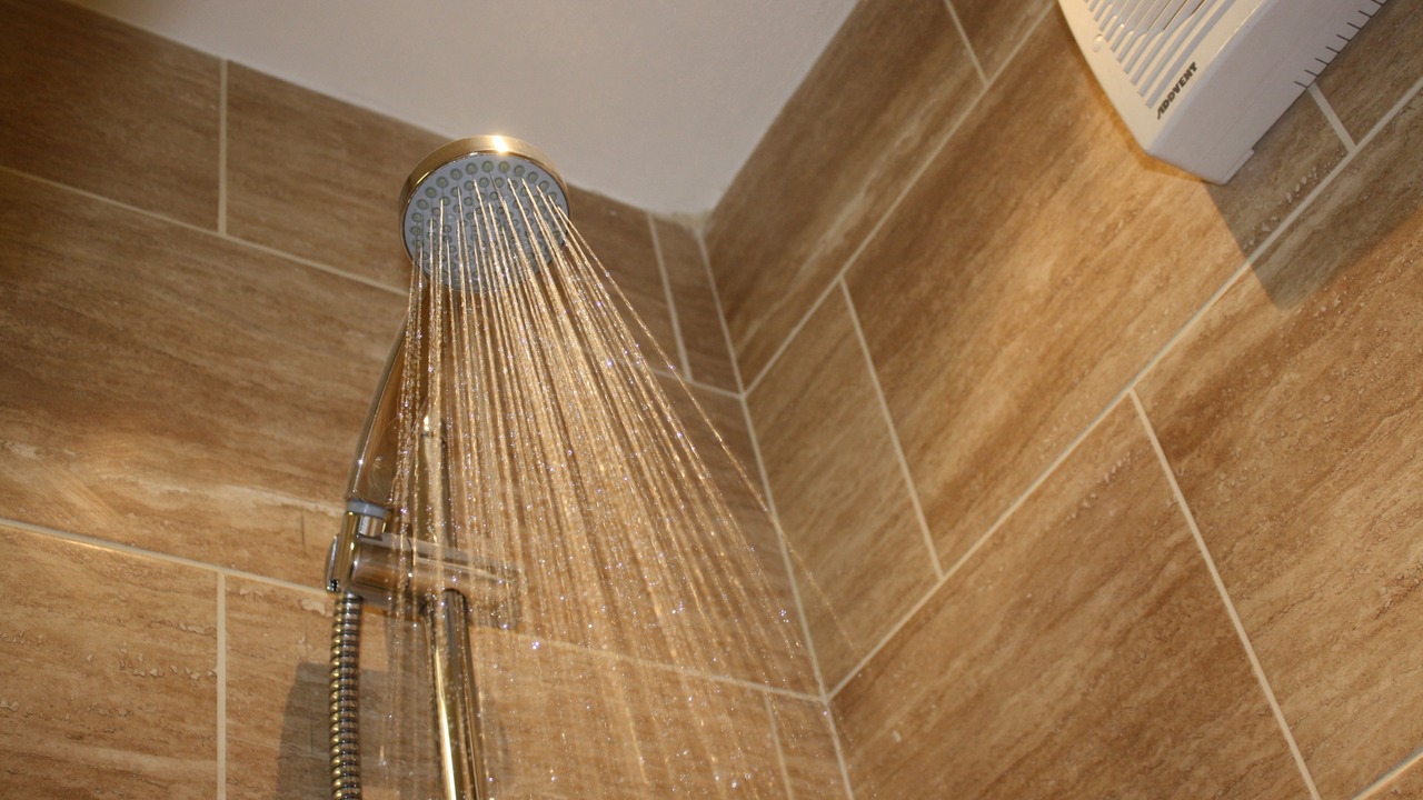 Photo of Others in Palterton