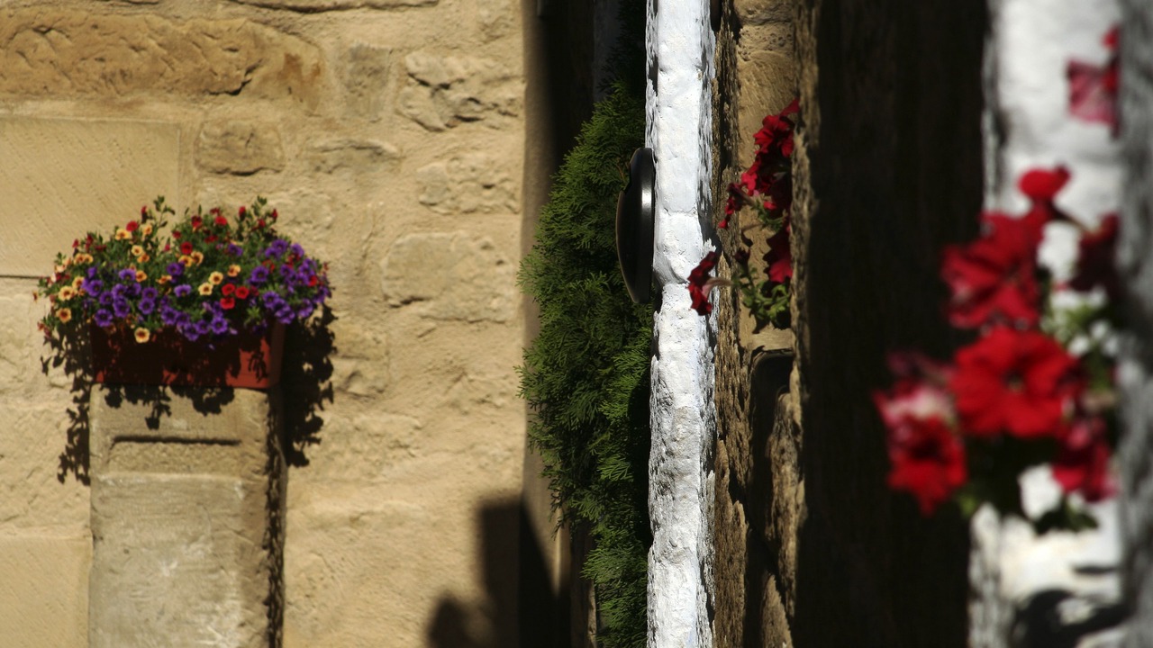 Photo of Others in Uncastillo