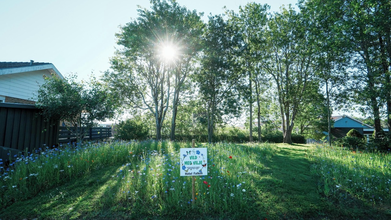 Photo of Outdoor in Videbaek