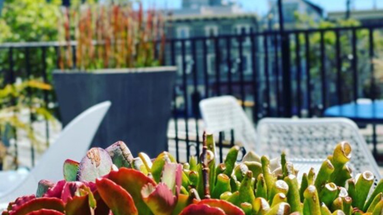 Photo of Outdoor in Duboce Triangle