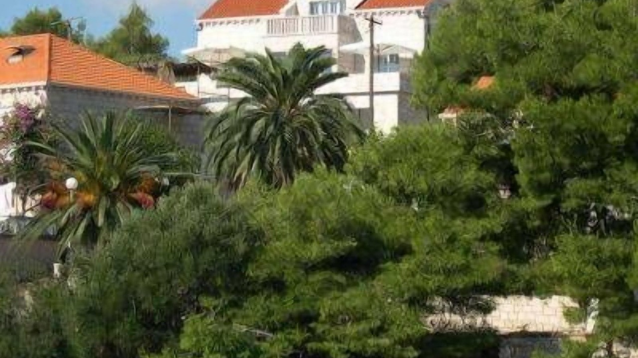Photo of Outdoor in Lumbarda