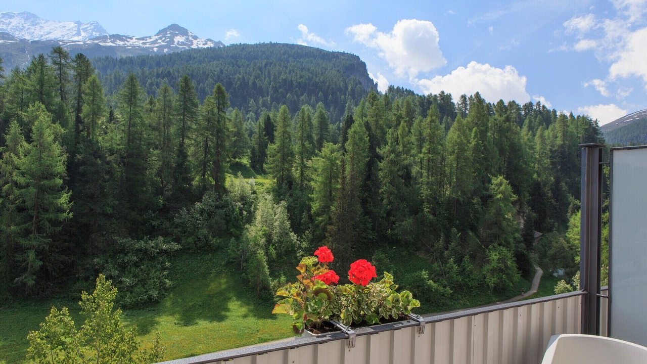 Photo of Others in Sils-Maria