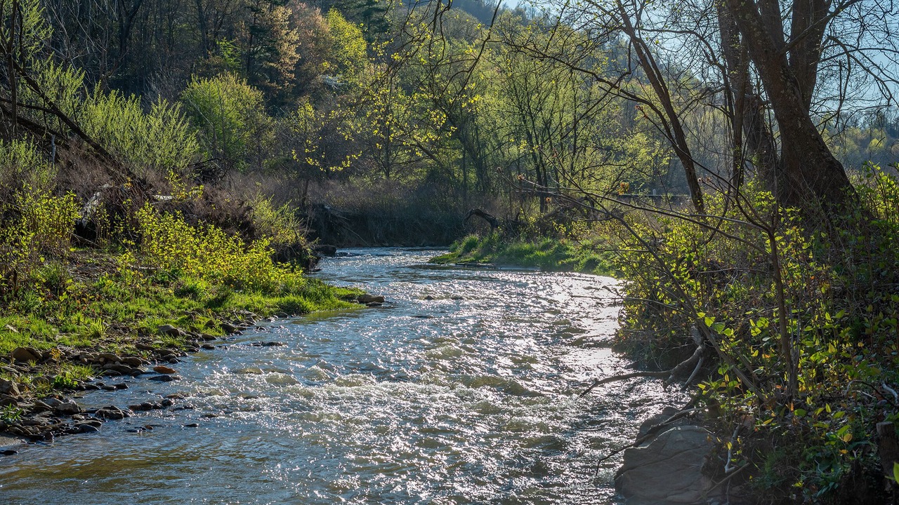 Photo of Outdoor in Candler
