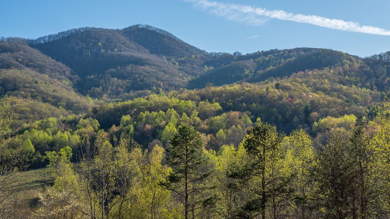 Photo of Outdoor in Candler