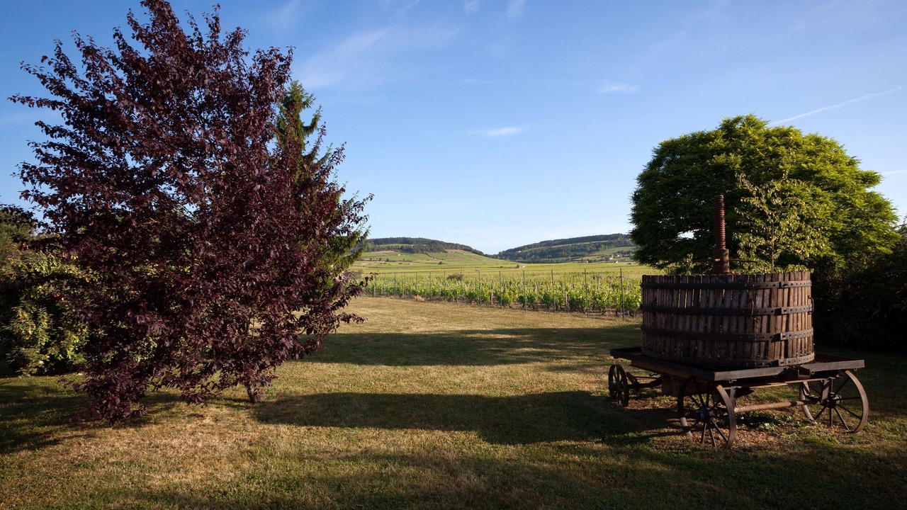 Photo of Outdoor in Beaune