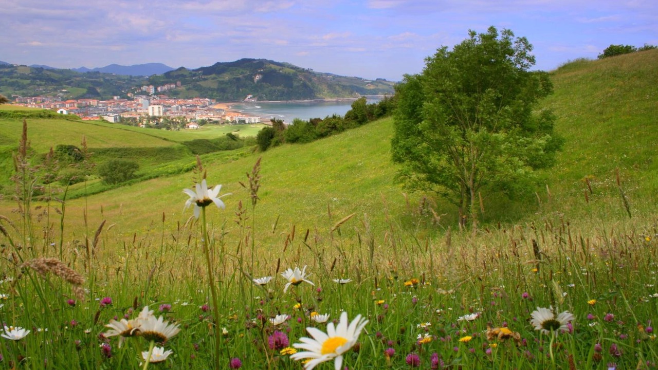 Photo of Outdoor in Zarautz