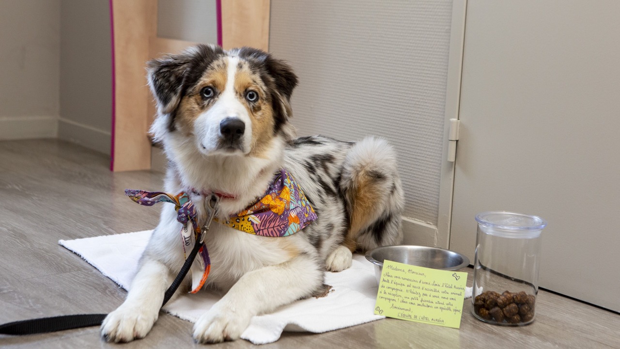 Photo of Others in Aurillac