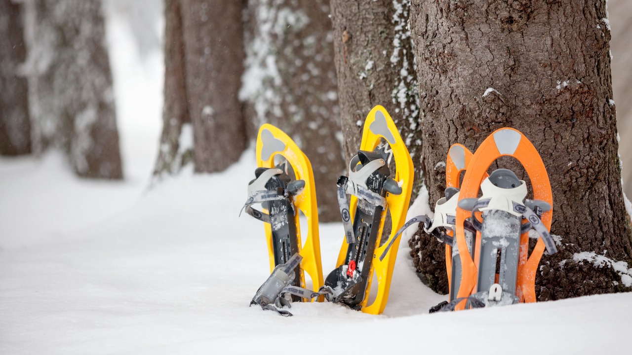 Photo of Others in Old Bennington