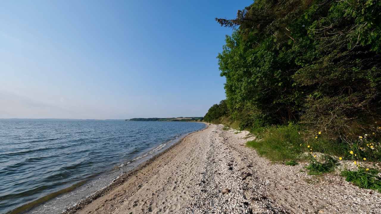 Photo of Others in Thisted