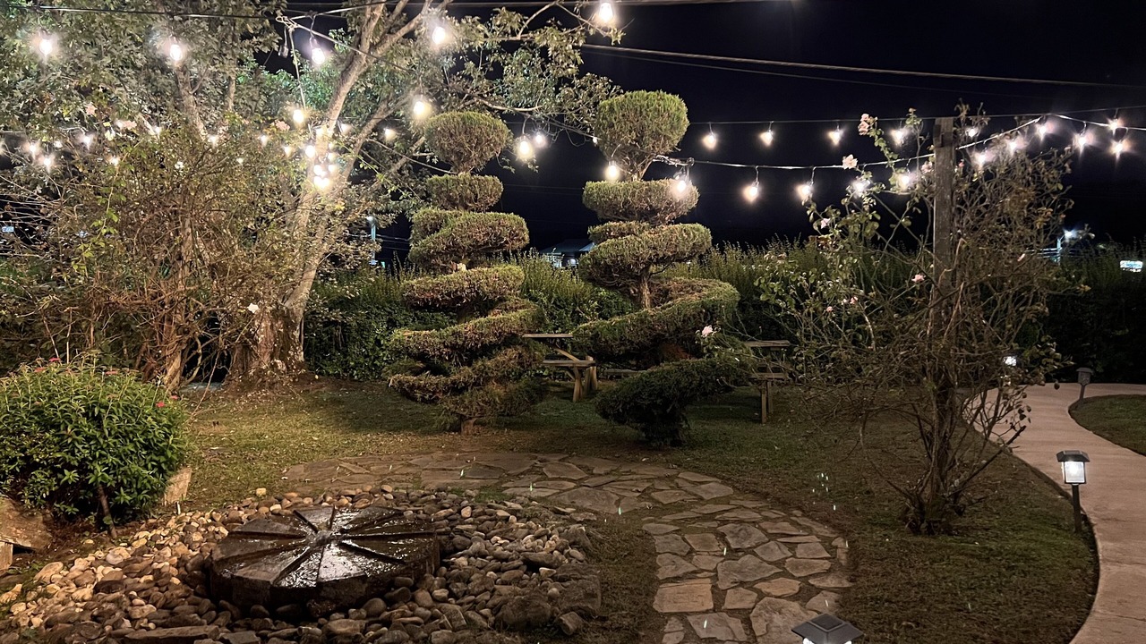 Photo of Outdoor in Jasper