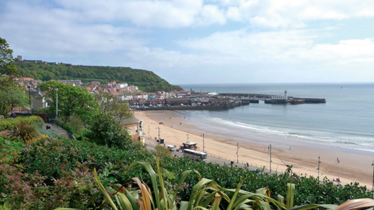 Photo of Others in Scarborough