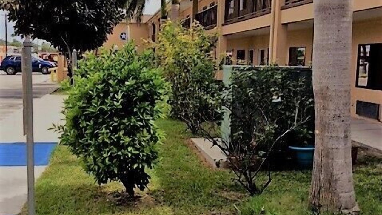Photo of Outdoor in Weslaco