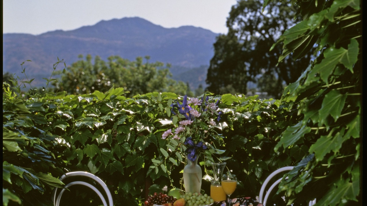 Photo of Outdoor in Yountville