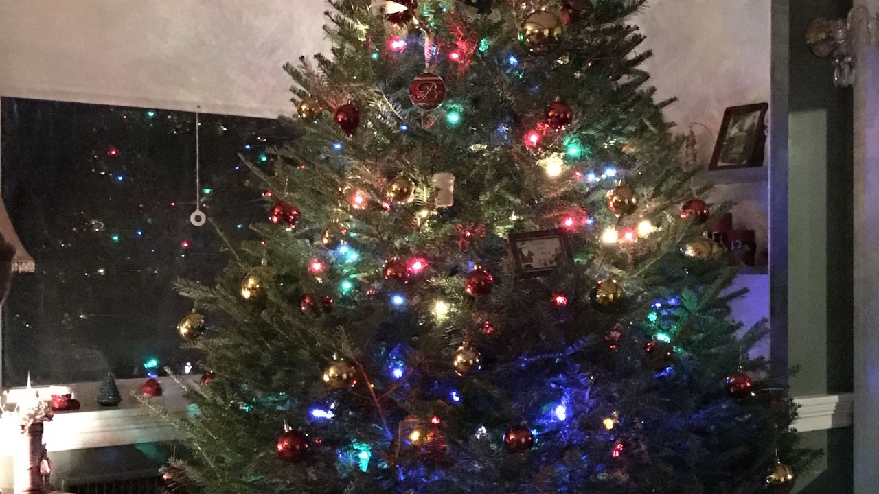 Photo of Others in Dexter