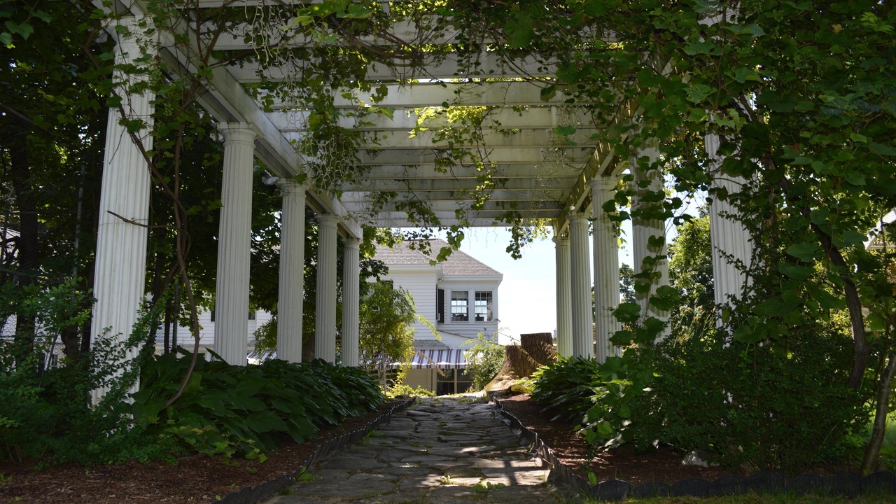 Photo of Outdoor in Dexter