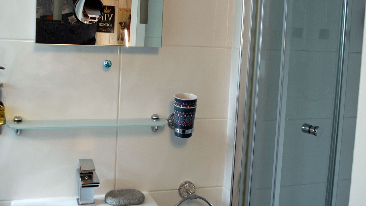 Photo of Others in South Shore