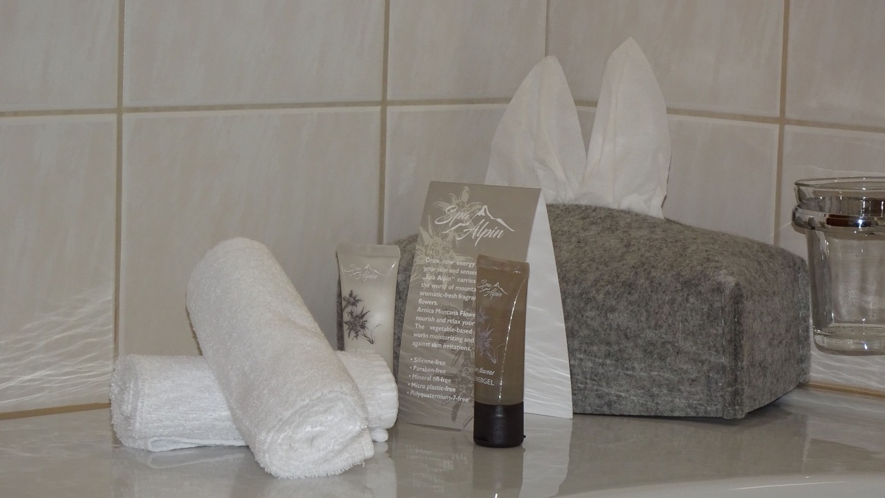 Photo of Bathroom in Ardez
