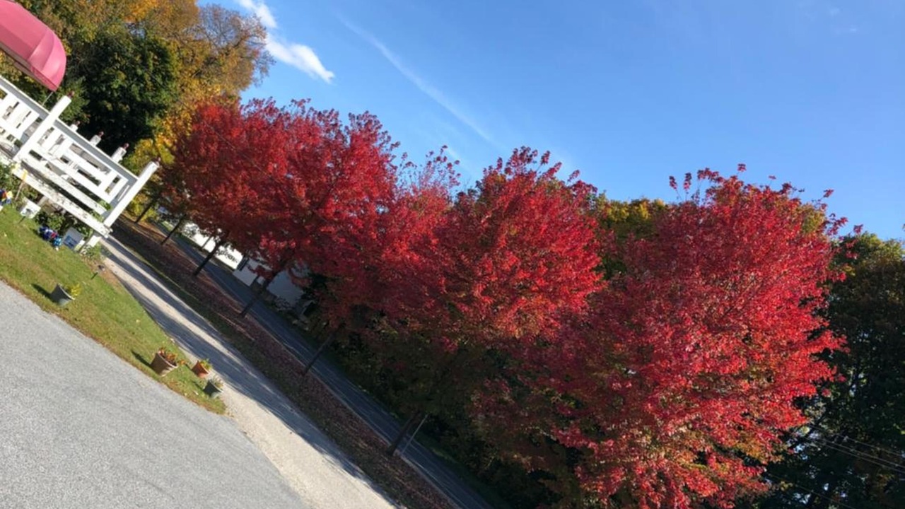 Photo of Outdoor in Bennington