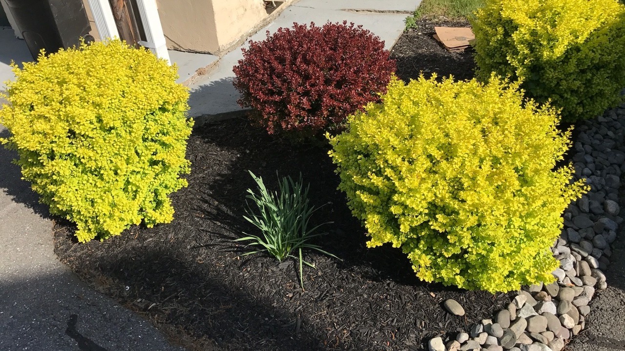 Photo of Outdoor in East Stroudsburg