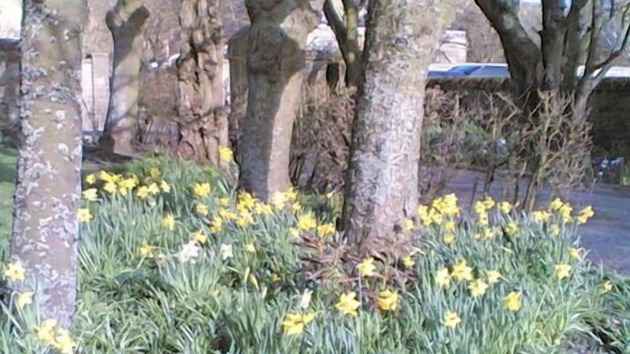 Photo of Outdoor in Seamill