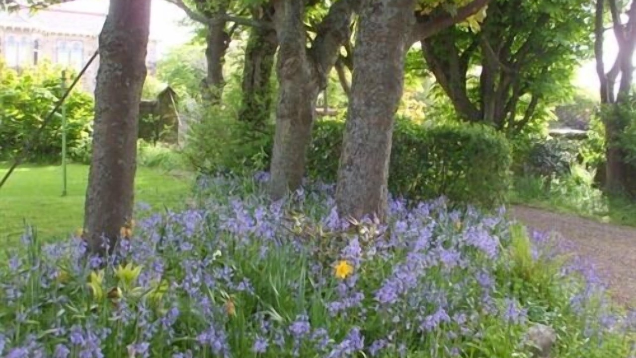 Photo of Outdoor in Seamill