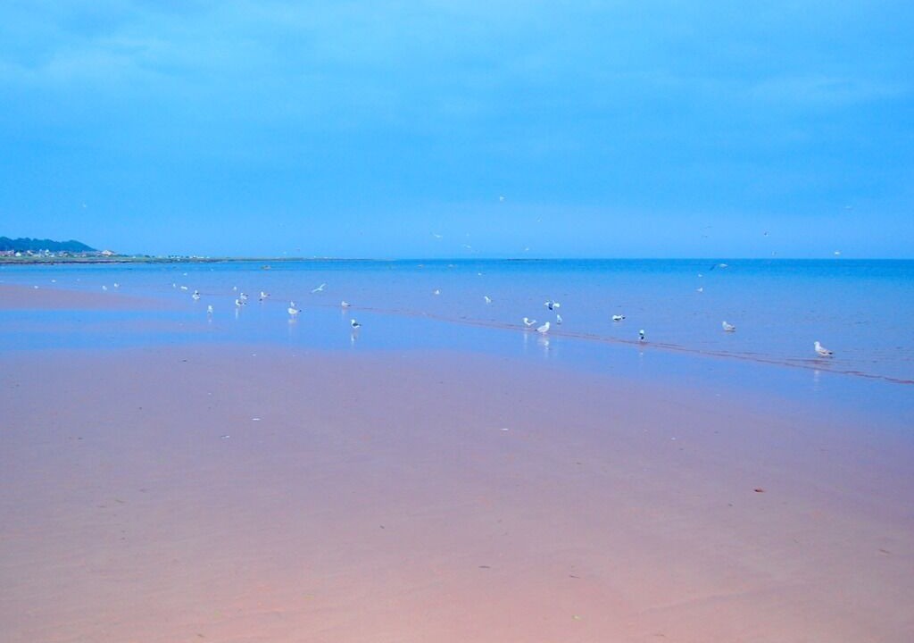 Photo of Others in Seamill