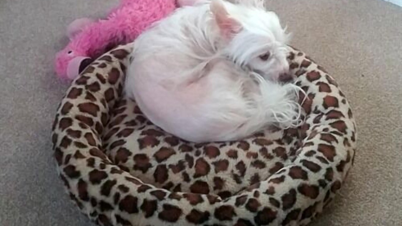 Photo of Others in Seamill